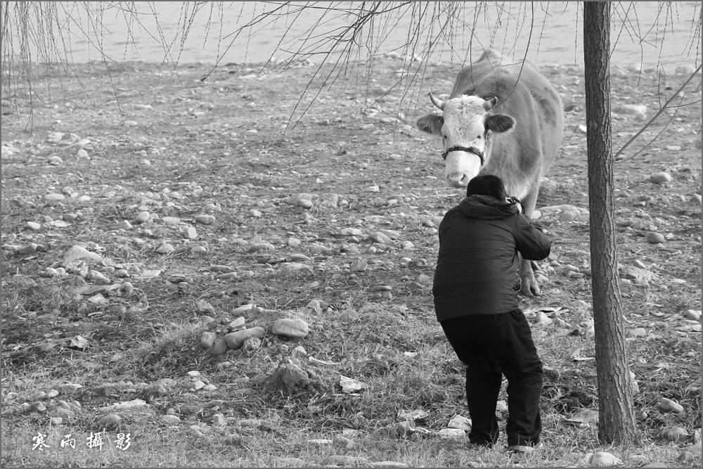 _MG_9670.jpg