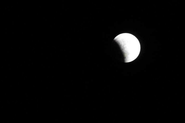 IMG_0836_.jpg