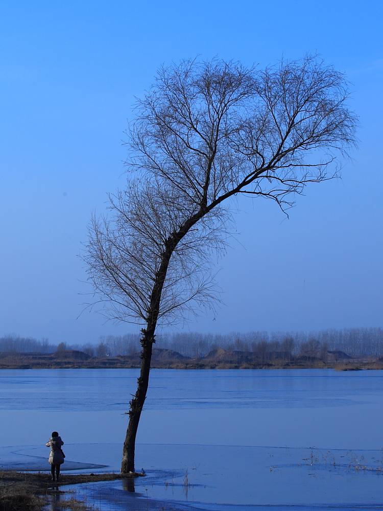 _MG_3730.JPG