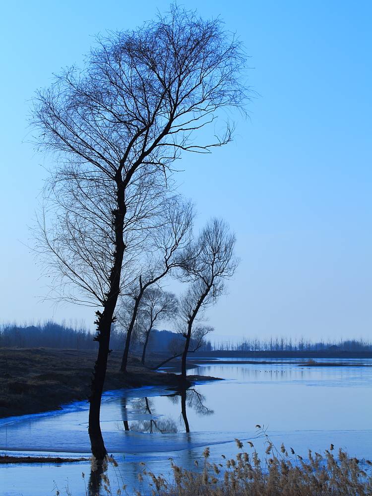 _MG_3736.JPG