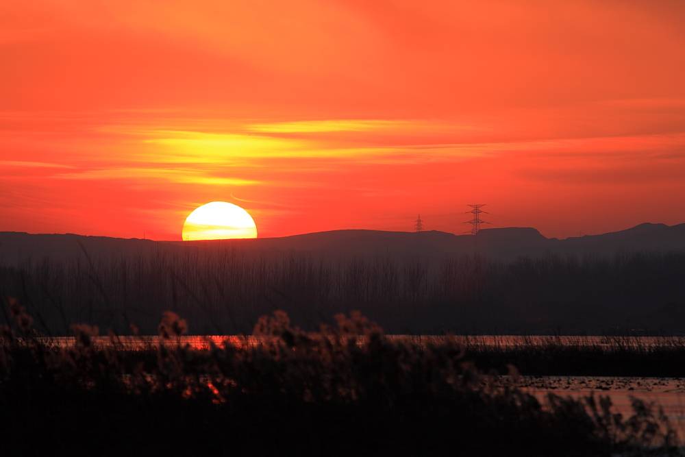 _MG_3821.JPG