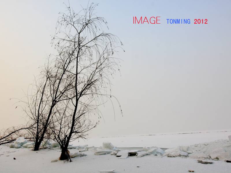 _MG_1711.JPG