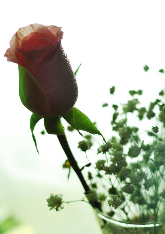 DSC_0057.jpg