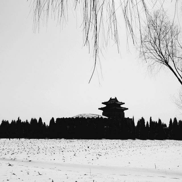 _DSC4199.jpg