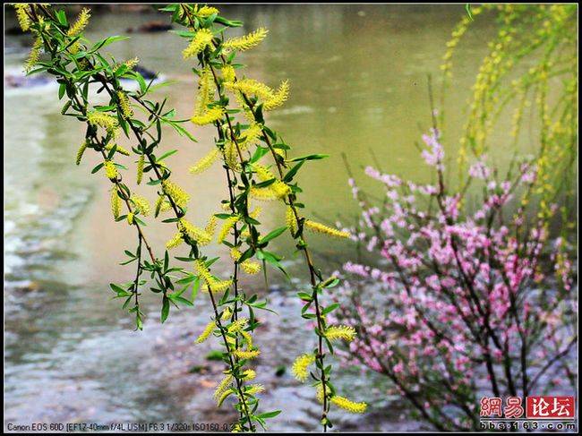 0fe594d1a8ae650b8055760d995121ae[1].jpg