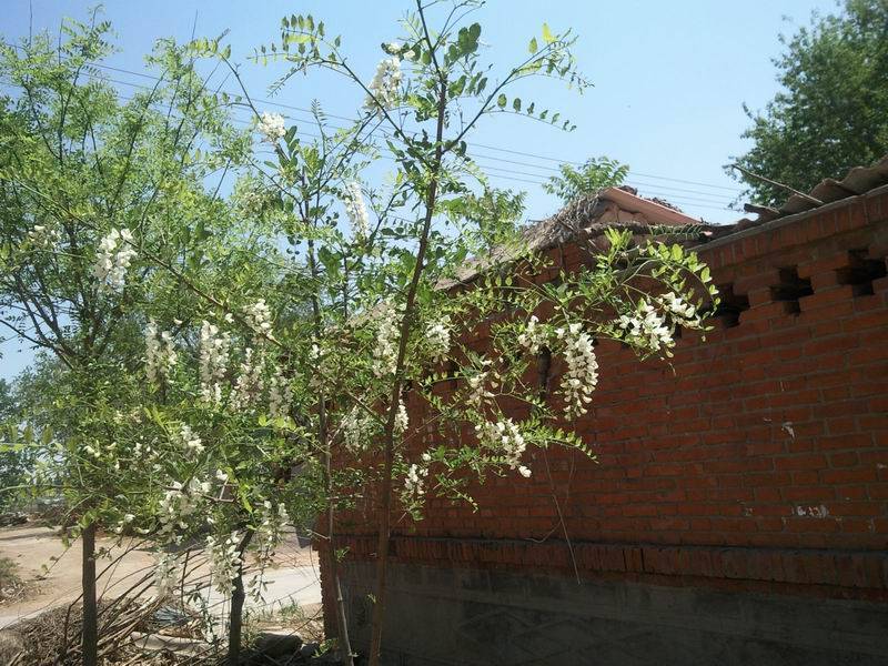  Ƭ-0413.jpg