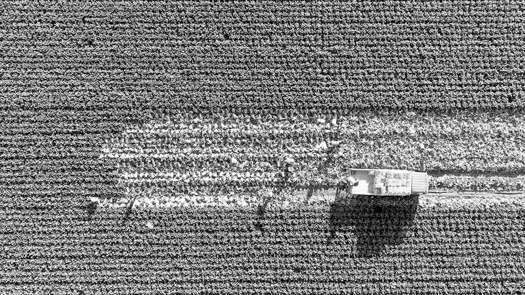 733fdeb5-33ac-48e4-9656-a895036bb4ae.jpg