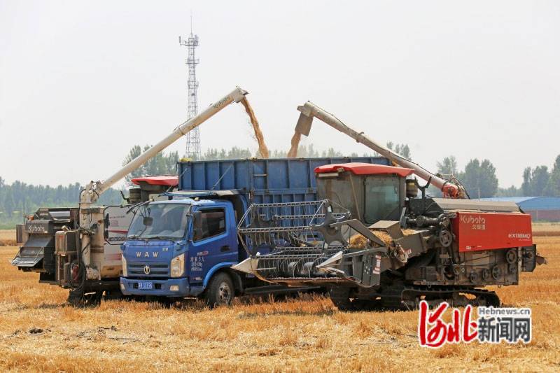 911857ab-f99a-45be-94a9-45c660afe5d0_jpeg_640x426_2ls9kz.jpg