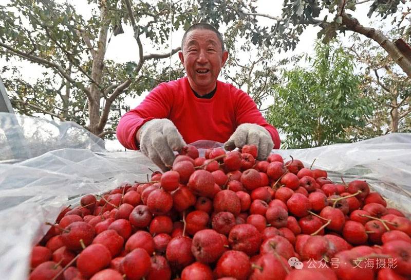 20251031գںӱʡɽͷׯ԰ũջɽ髡