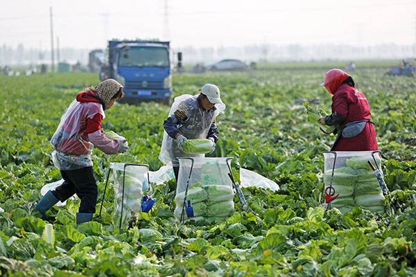 20251031գںӱʡɽغײֲأũڲաװײ