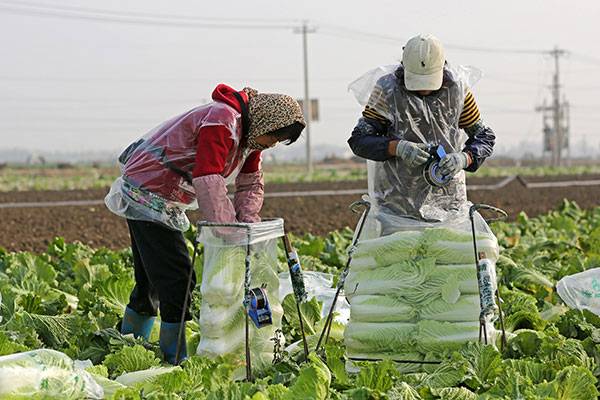 20251031գںӱʡɽغײֲأũڲաװײ