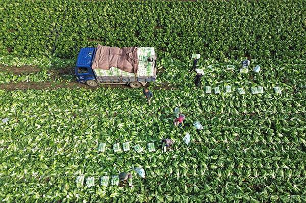 20251031գںӱʡɽغײֲأũڲաװײ