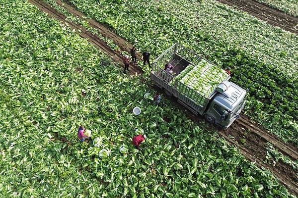 20251031գںӱʡɽغײֲأũڲաװײ