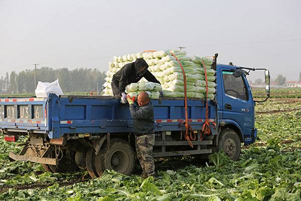 20251031գںӱʡɽغײֲأũڲաװײ