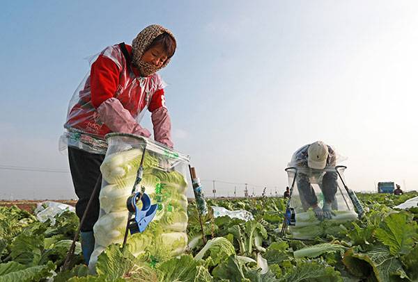 20251031գںӱʡɽغײֲأũڲաװײ