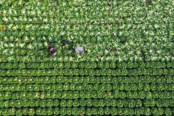 20251031գںӱʡɽغײֲأũڲաװײ