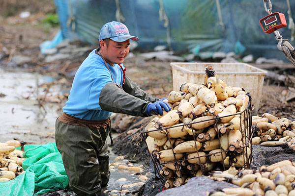 20251024գںӱʡɽɢˮͷƼ̴壬ũװ˲յź