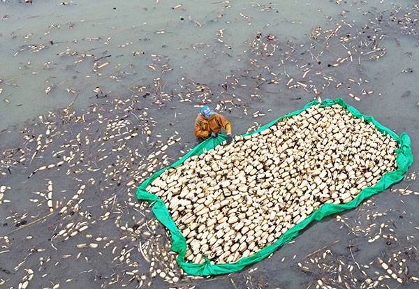 20251024գںӱʡɽɢˮͷƼ̴壬ũװ˲յź