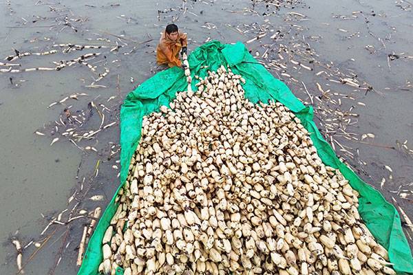 20251024գںӱʡɽɢˮͷƼ̴壬ũװ˲յź