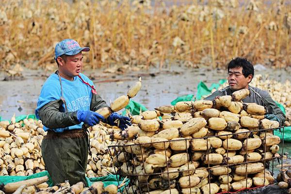 20251024գںӱʡɽɢˮͷƼ̴壬ũװ˲յź