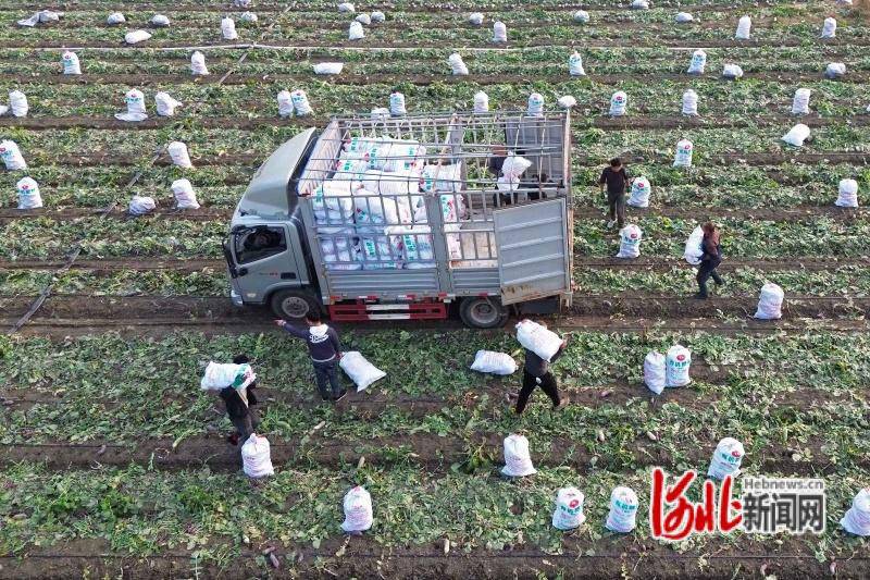 1025գӱʡس¼߼̴壬ũջܲ