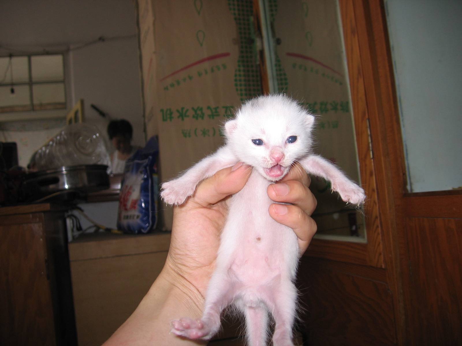 һϾͷдеŶ