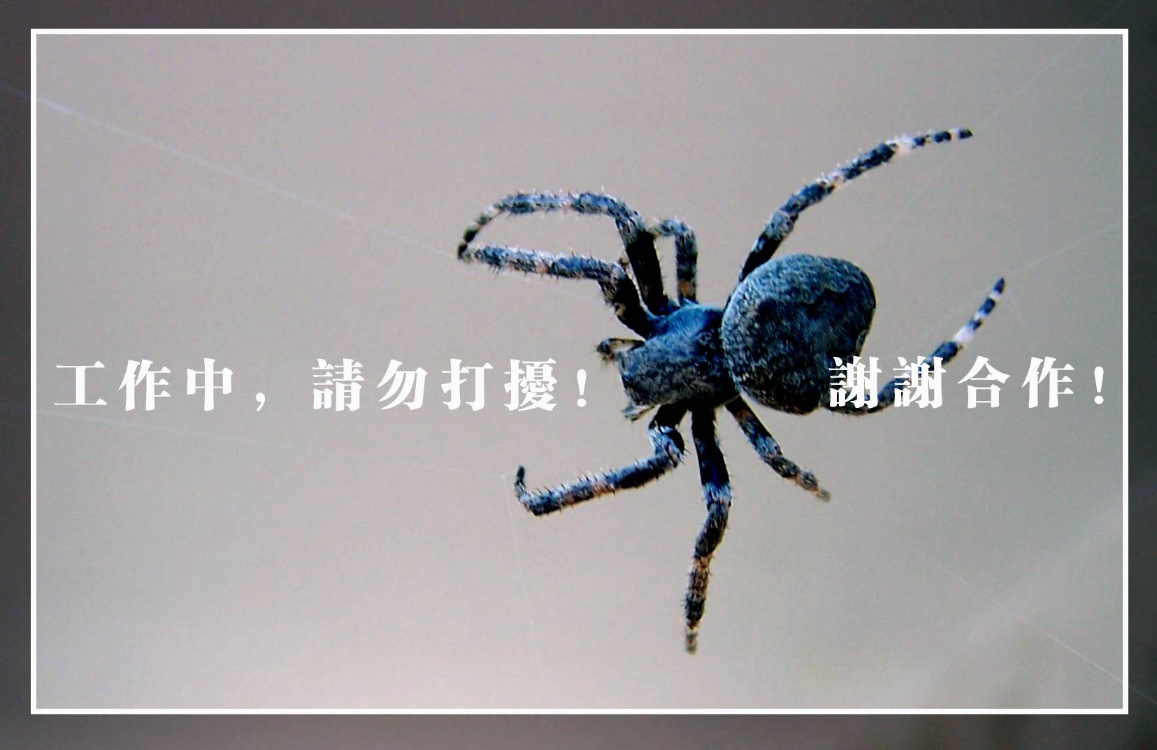 [ԭ] Ϊ˱̳ٷţ