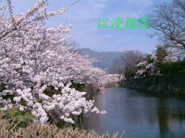 ۷ݣӣ棭ڶףԸ