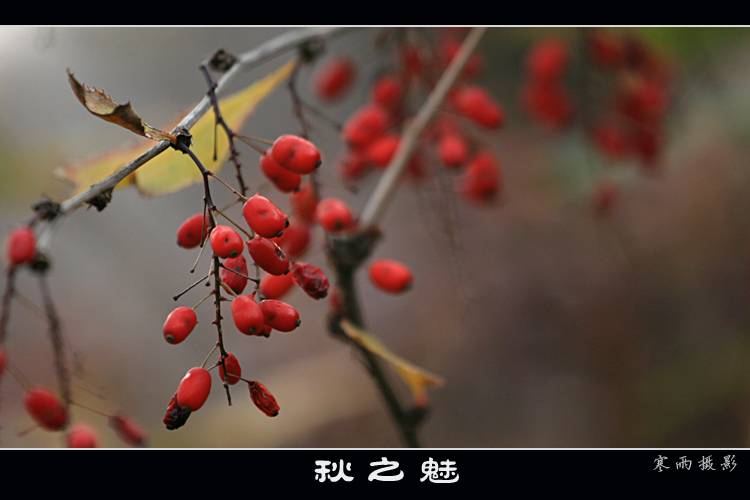 [Ӿ]  ֮