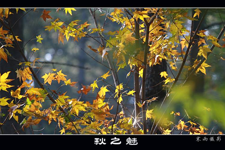 [Ӿ]  ֮