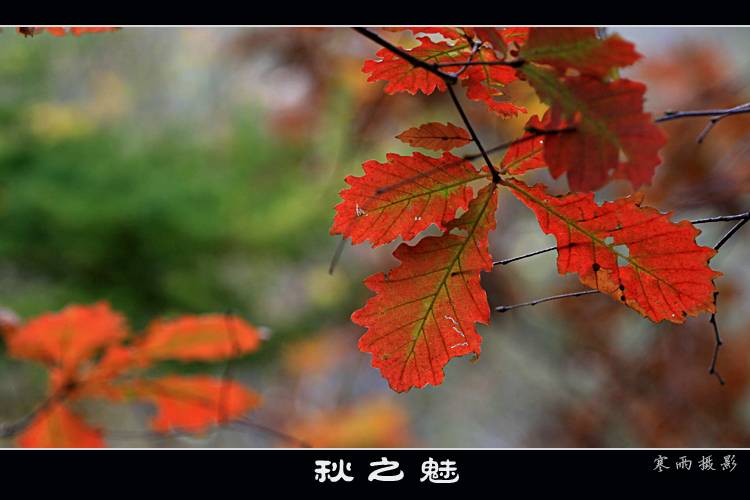 [Ӿ]  ֮