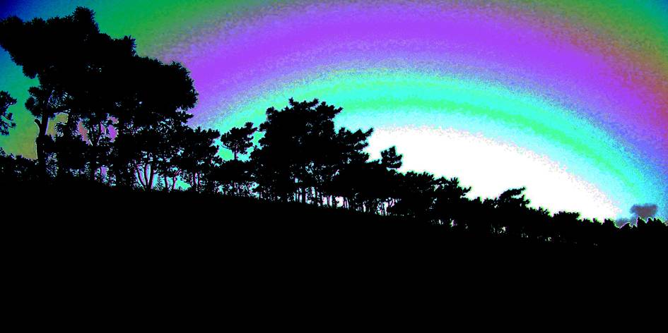 ѧϰ----һƬЧ