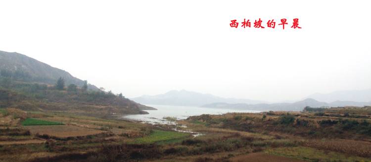 ʥ