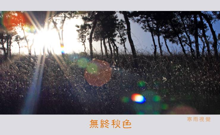 [Ӿ]  ɫ֮