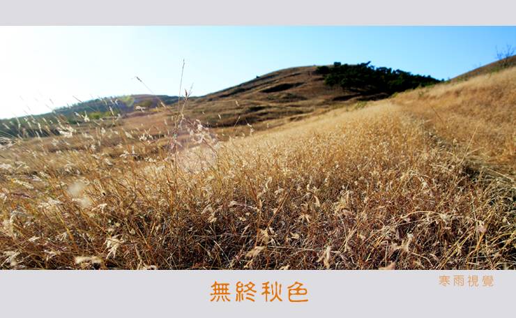 [Ӿ]  ɫ֮