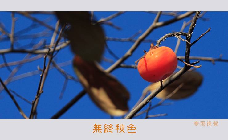 [Ӿ]  ɫ֮