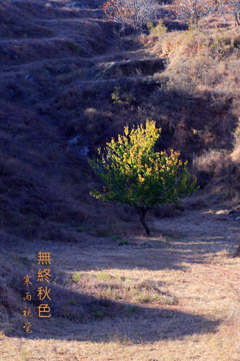 [Ӿ]  ɫ֮