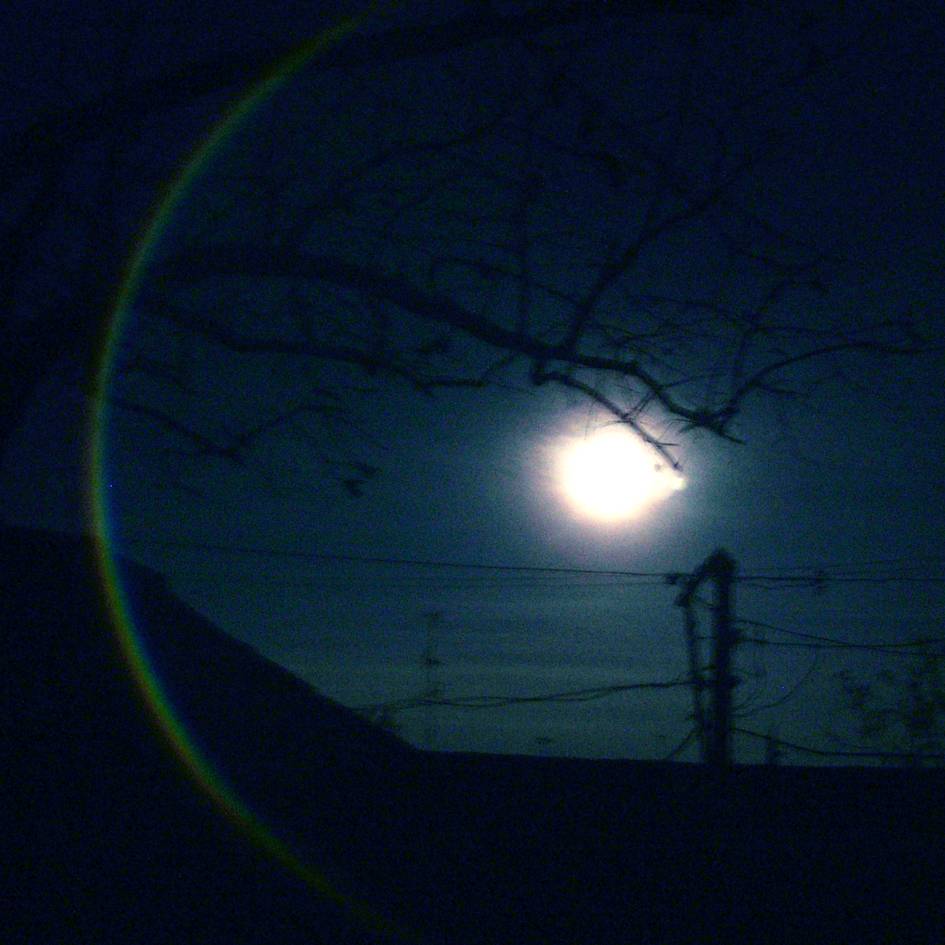 ѧָ