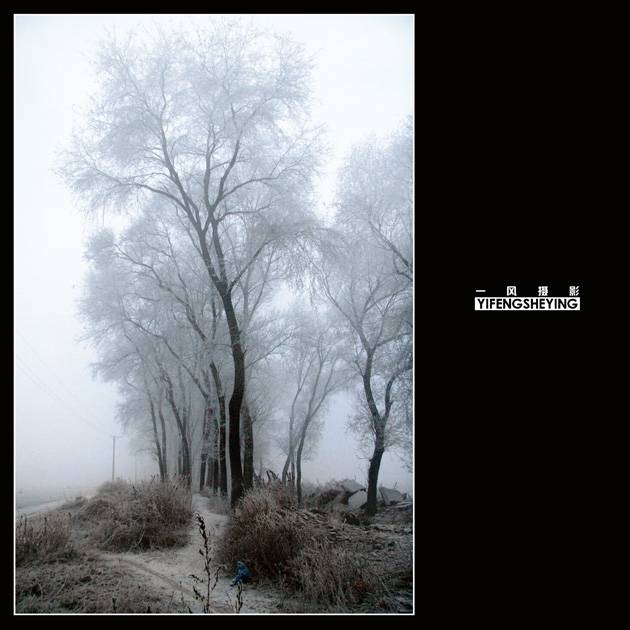 2006ĵһѩ