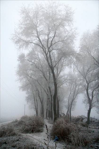 2006ĵһѩ