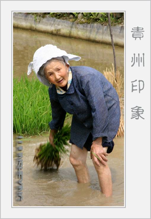 [ԭ]  ..ӡ.棩