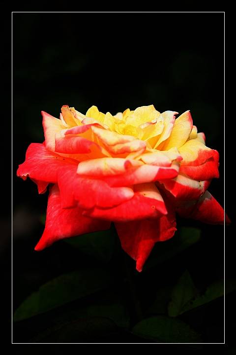 []ݲ