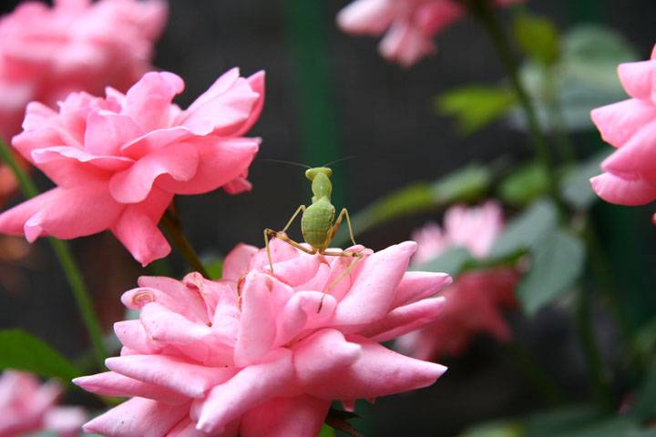 ~