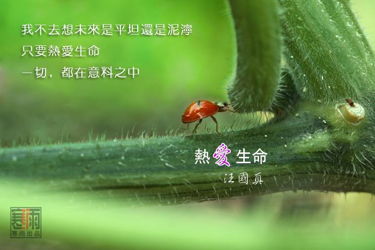[ԭ] Ȱ