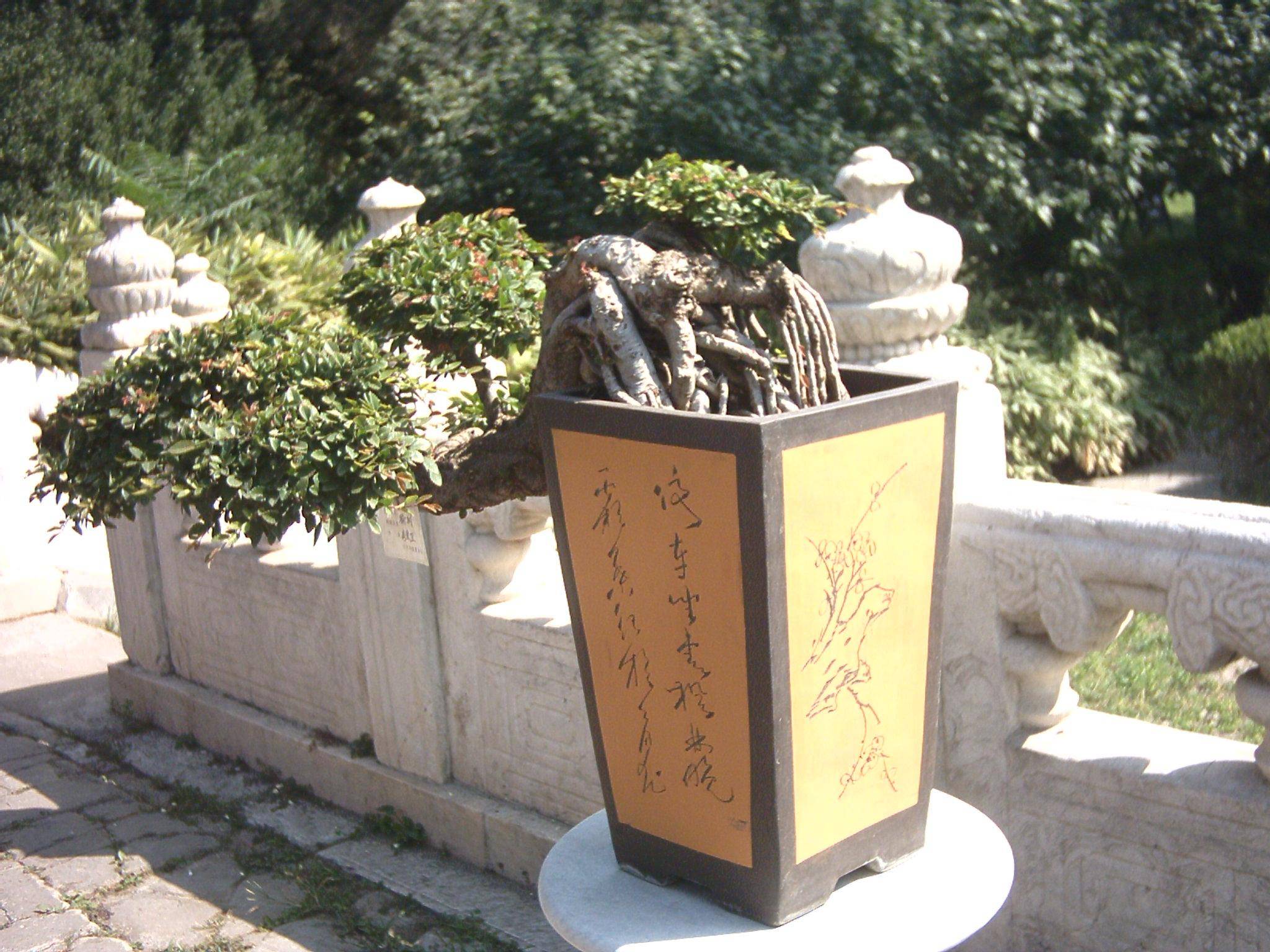 辰
