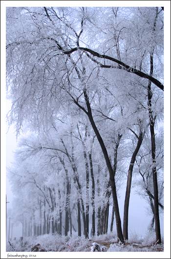 Լڶ֮Ƭ