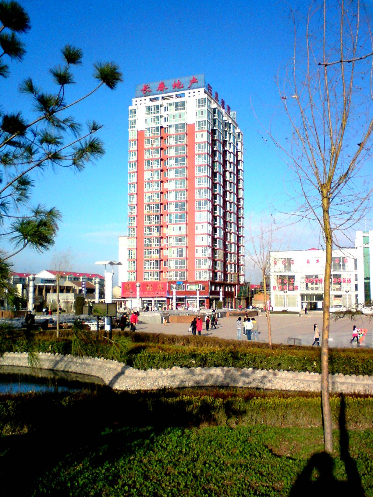 010.jpg