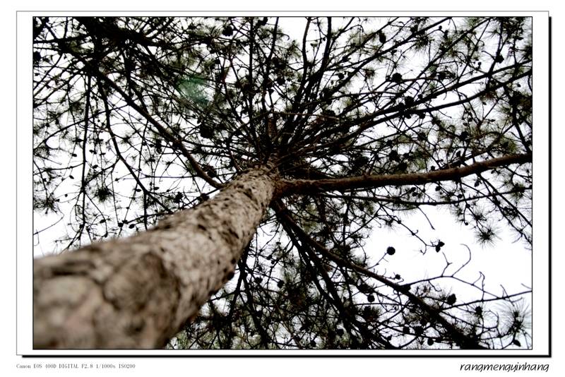 Ƭ 039.jpg