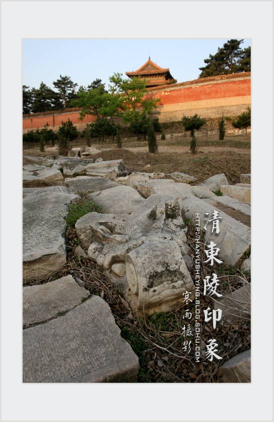IMG_9195.JPG