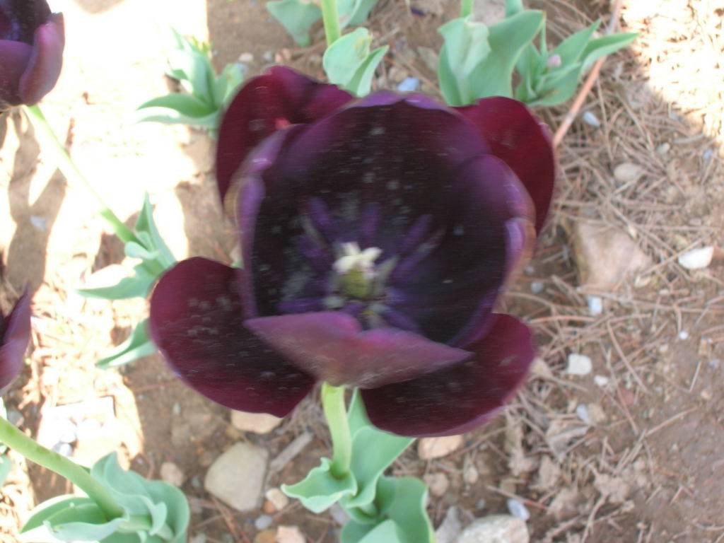 DSCN2863.JPG